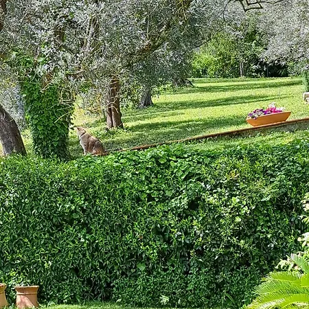 Via Bolognese, 238 - Emma - Il Tuo Immerso Nel Apartment