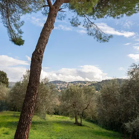 Apartment Via Bolognese, 238 - Emma - Il Tuo Immerso Nel Florence